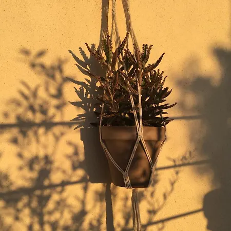 Luciola, With Sea View And Sunset * Corbara