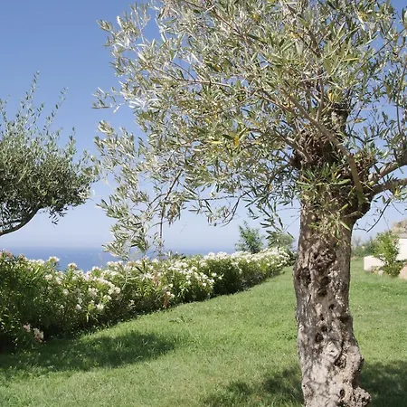 Villa Luciola, With Sea View And Sunset