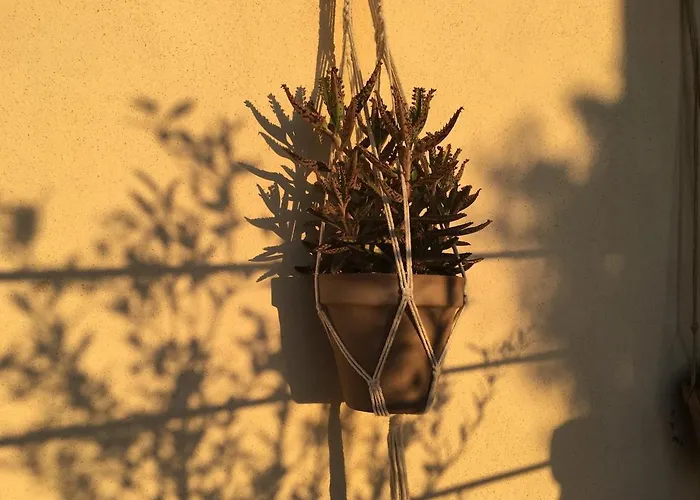 Luciola, With Sea View And Sunset * Corbara