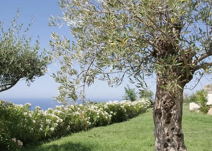 Villa Luciola, With Sea View And Sunset
